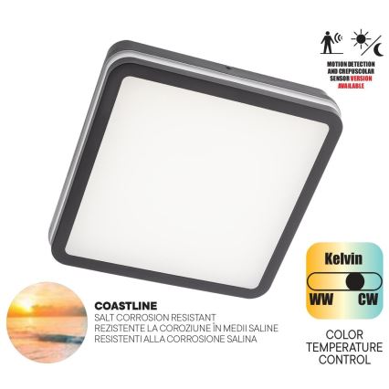 Redo 90292 - LED Vanjska stropna svjetiljka sa senzorom ISOLA LED/24W/230V 26x26 cm 3000/4000/6500K IP54 antracit