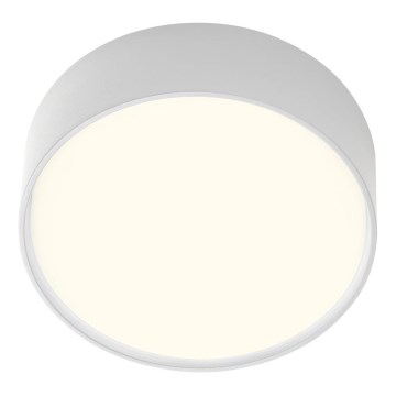 Redo 90494 - LED Vanjska stropna svjetiljka URANIA LED/10W/230V pr. 16 cm 3000K IP65 bijela