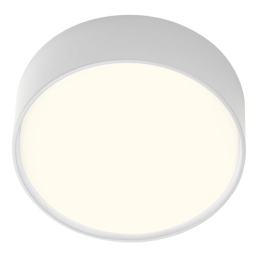 Redo 90494 - LED Vanjska stropna svjetiljka URANIA LED/10W/230V pr. 16 cm 3000K IP65 bijela