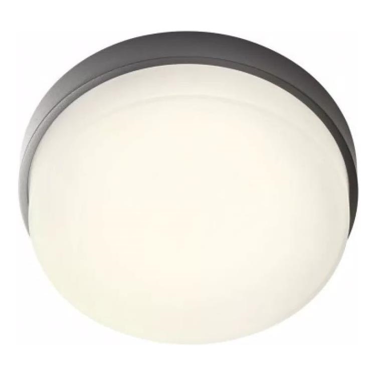 Redo 90516 - LED Vanjska stropna svjetiljka URANIA LED/10W/230V pr. 16 cm IP65 antracit