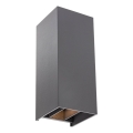 Redo 90636 - LED vanjsko zidno svjetlo SONNY 2xLED/5W/230V 2200/3000/4000K IP54 antracit