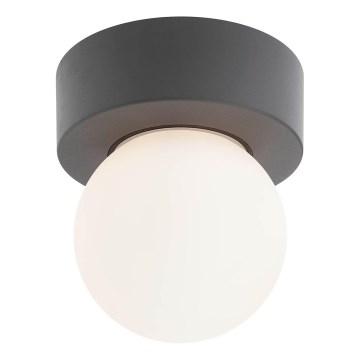 Redo 90641 - Vanjska stropna svjetiljka BULK 1xE27/28W/230V IP44 antracit