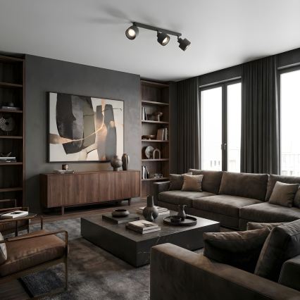 Reflektor PARKLA 3xE27/15W/230V crni