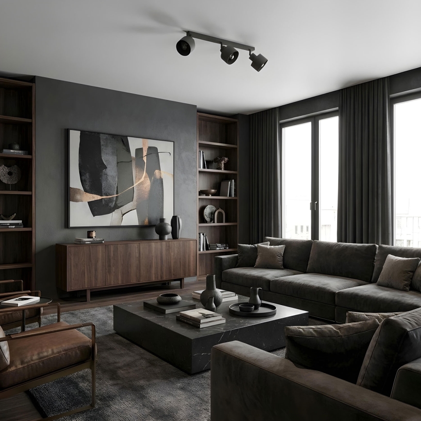 Reflektor PARKLA 3xE27/15W/230V crni