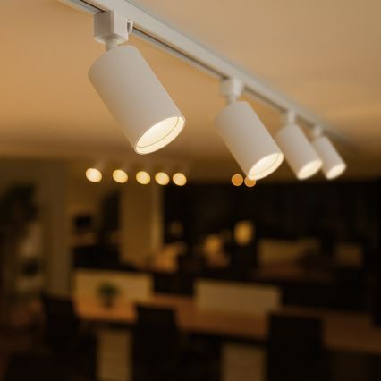 Reflektor za 1-fazni šinski sustav TIGER 1xGU10/10W/230V bijela