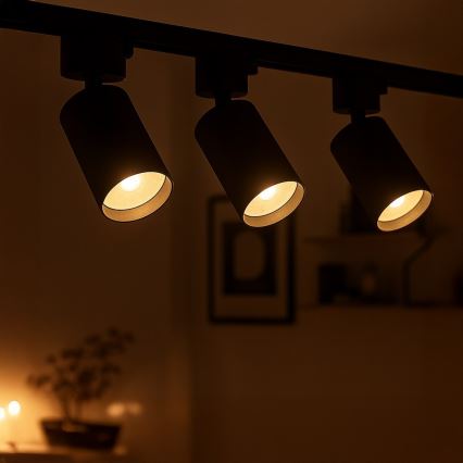 Reflektor za 1-fazni šinski sustav TIGER 1xGU10/10W/230V crna