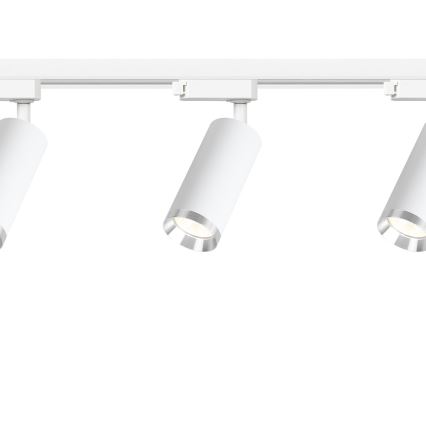 Reflektor za tračni sustav MICA 3xGU10/10W/230V, bijela/matirani krom