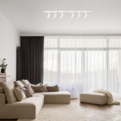 Reflektor za tračni sustav MICA 6xGU10/10W/230V bijela/matni krom