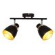 Reflektorska svjetiljka ALEKSANDRIA 2xE14/40W/230V crna/zlatna