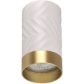 Reflektorska svjetiljka ARRAS 1xGU10/10W/230V bijela