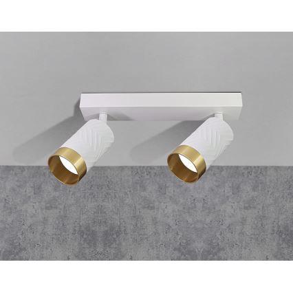 Reflektorska svjetiljka ARRAS 2xGU10/10W/230V bijela