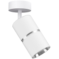 Reflektorska svjetiljka BAMBOO 1xGU10/10W/230V bijela