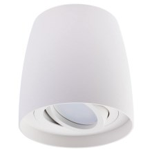 Reflektorska svjetiljka BESA 1xGU10/30W/230V bijela