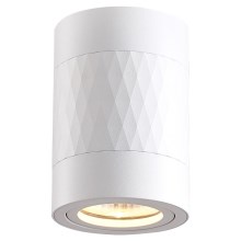 Reflektorska svjetiljka BIMA 1xGU10/25W/230V okrugli bijela