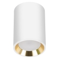 Reflektorska svjetiljka CHLOE 1xGU10/35W/230V okrugli bijela/zlatna