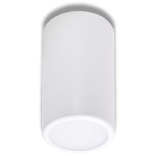 Reflektorska svjetiljka CLEO 1xE27/24W/230V bijela