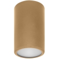 Reflektorska svjetiljka CLEO 1xE27/24W/230V zlatna