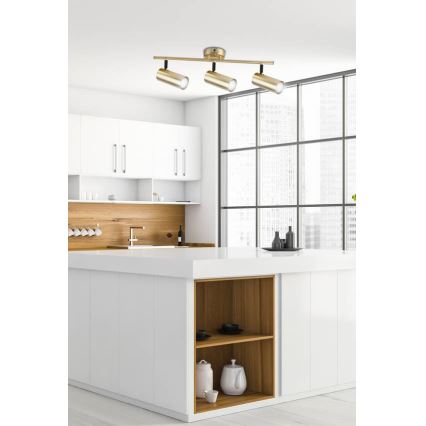 Reflektorska svjetiljka COLLY 3xGU10/15W/230V zlatna
