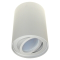 Reflektorska svjetiljka CORONA 1xGU10/30W/230V bijela
