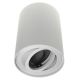 Reflektorska svjetiljka CORONA 1xGU10/30W/230V bijela