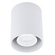 Reflektorska svjetiljka CREEP 1xGU10/50W/230V bijela