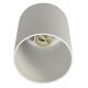 Reflektorska svjetiljka CREEP 1xGU10/50W/230V bijela