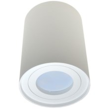 Reflektorska svjetiljka CRIKO 1xGU10/30W/230V bijela