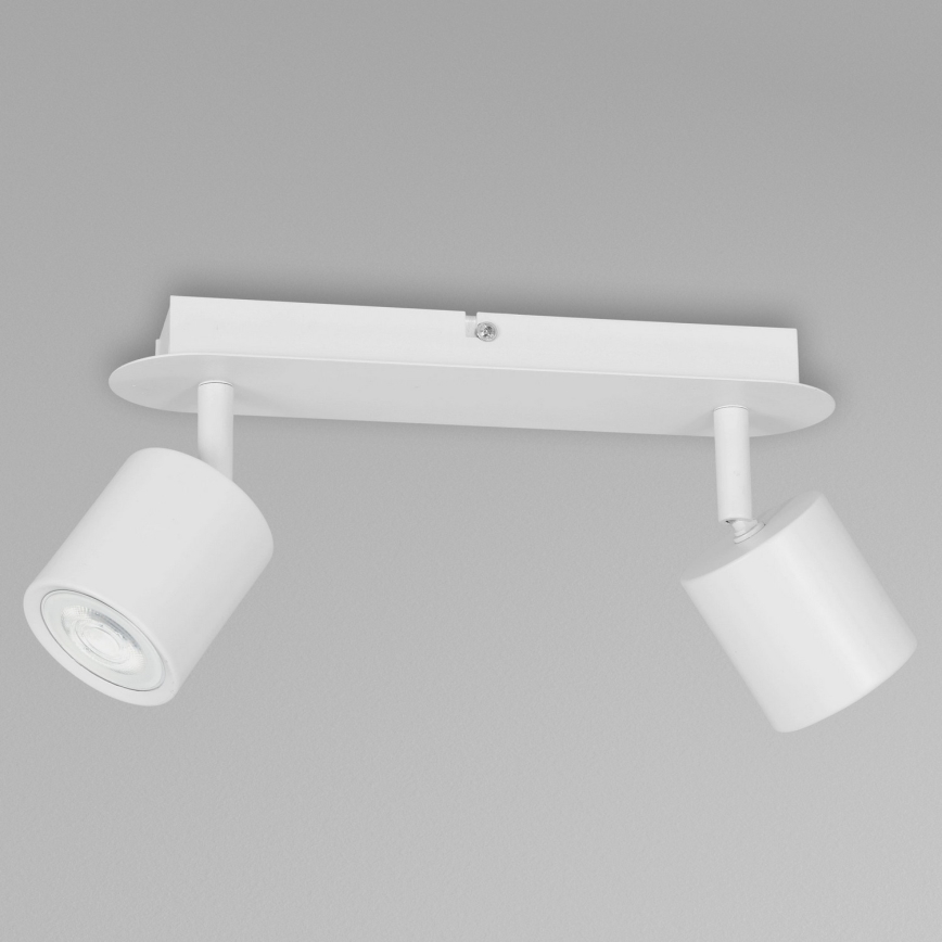 Reflektorska svjetiljka DEMIA 2xGU10/8W/230V bijela