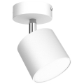 Reflektorska svjetiljka DIXIE 1xGX53/11W/230V bijela