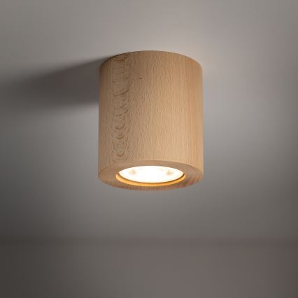 Reflektorska svjetiljka EVE 1xGU10/10W/230V bukva