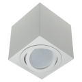 Reflektorska svjetiljka FEBE 1xGU10/30W/230V bijela