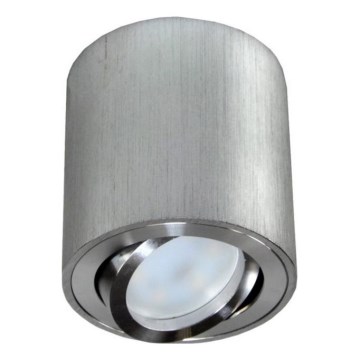 Reflektorska svjetiljka FEBE 1xGU10/30W/230V mat krom