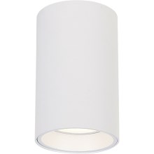 Reflektorska svjetiljka GENESIS 1xGU10/8W/230V 10 cm bijela
