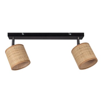 Reflektorska svjetiljka IRMA 2xE14/40W/230V