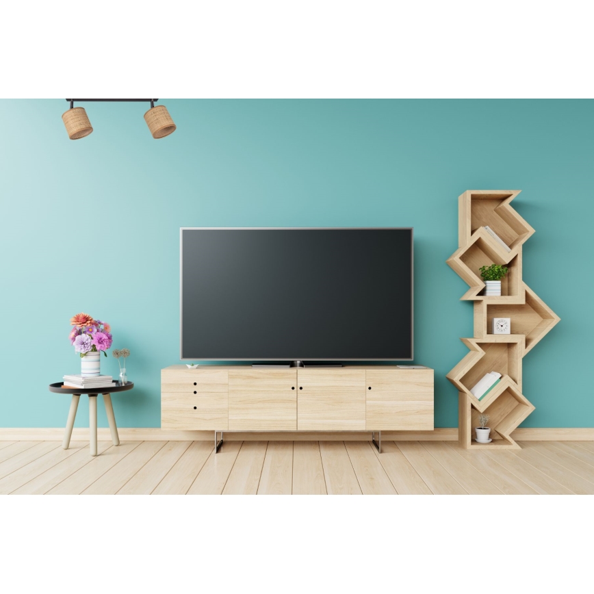 Reflektorska svjetiljka IRMA 2xE14/40W/230V