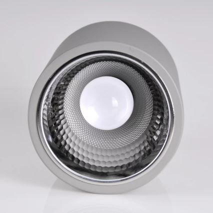 Reflektorska svjetiljka JUPITER 1xE27/20W/230V pr. 16,5 cm siva