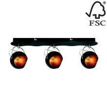 Reflektorska svjetiljka KANA 3xG9/28W/230V – FSC certificirano