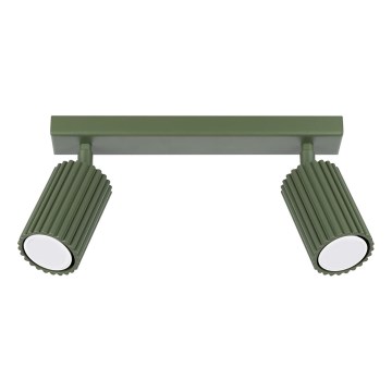 Reflektorska svjetiljka KARBON 2xGU10/10W/230V zelena