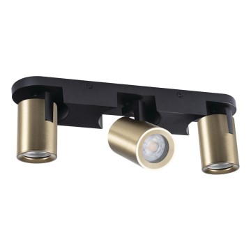 Reflektorska svjetiljka LAURIN 3xGU10/10W/230V mesing/crna