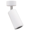Reflektorska svjetiljka MICA 1xGU10/25W/230V bijela