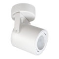 Reflektorska svjetiljka PIREUS 1xGU10/30W/230V bijela