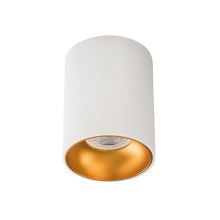 Reflektorska svjetiljka RITI 1xGU10/10W/230V bijela/zlatna
