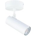 Reflektorska svjetiljka ROSETTE 1xGU10/7W/230V bijela