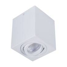 Reflektorska svjetiljka SIN 1xGU10/50W/230V bijela