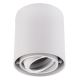 Reflektorska svjetiljka SIROK 1xGU10/30W/230V bijela