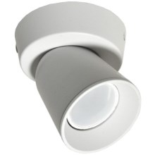 Reflektorska svjetiljka TROY 1xGU10/30W/230V bijela
