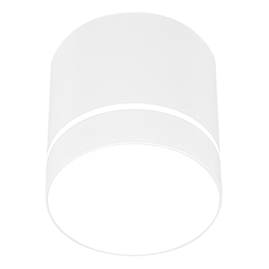 Reflektorska svjetiljka TUBA 1xGU10/15W/230V bijela