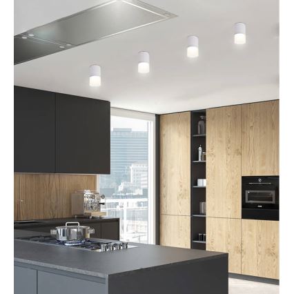 Reflektorska svjetiljka TUBA 1xGU10/15W/230V siva/bijela