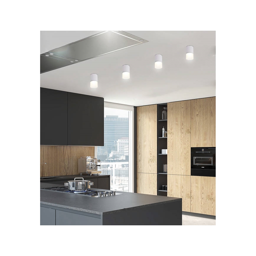 Reflektorska svjetiljka TUBA 1xGU10/15W/230V siva/bijela