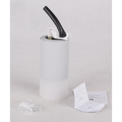 Reflektorska svjetiljka TUBA 1xGU10/15W/230V siva/bijela